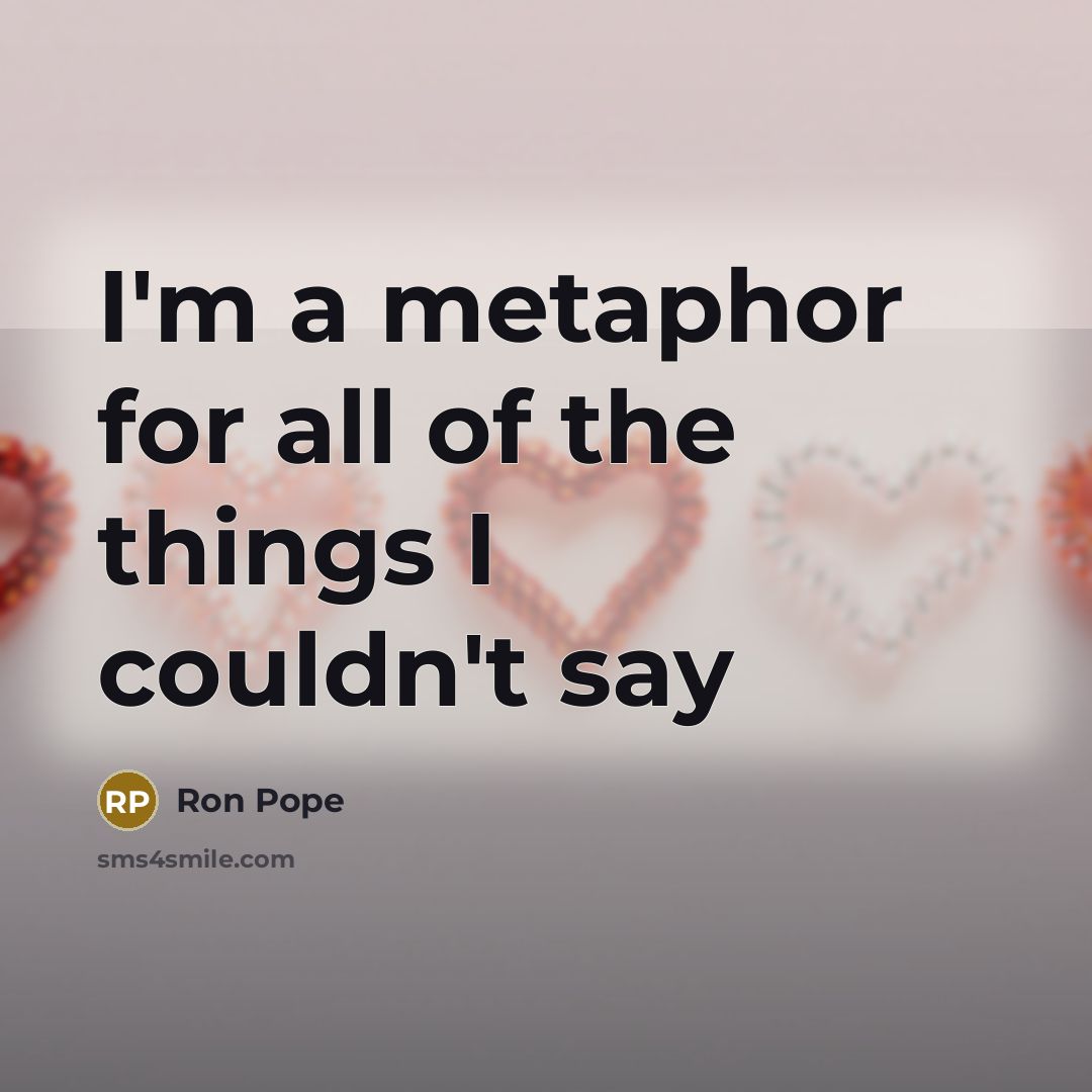 “I'm a metaphor for all of the things I couldn't…” quote by Ron Pope