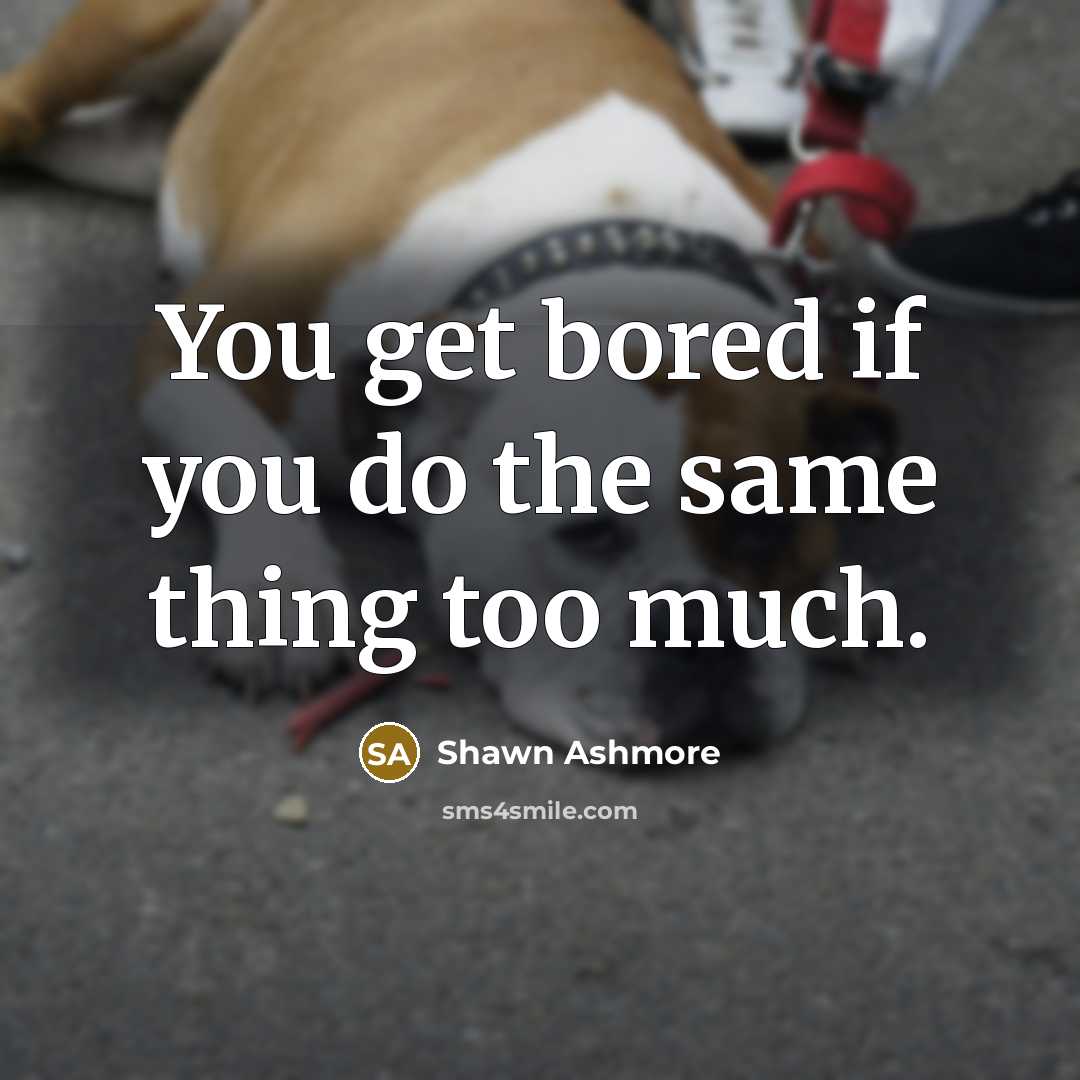 “You get bored if you do the same thing too…” quote by Shawn Ashmore