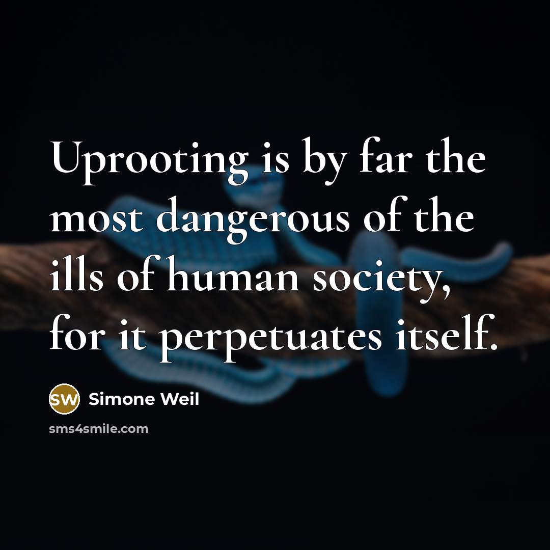“Uprooting is by far the most dangerous of the ills…” quote by Simone Weil