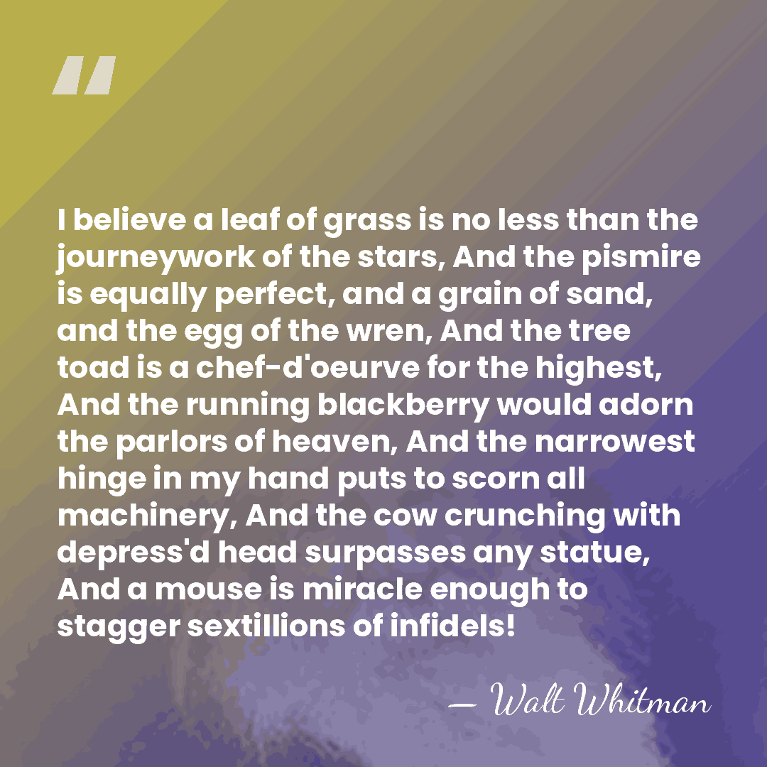 I believe a leaf of grass is no less than the journeywork&hellip; - Walt Whitman