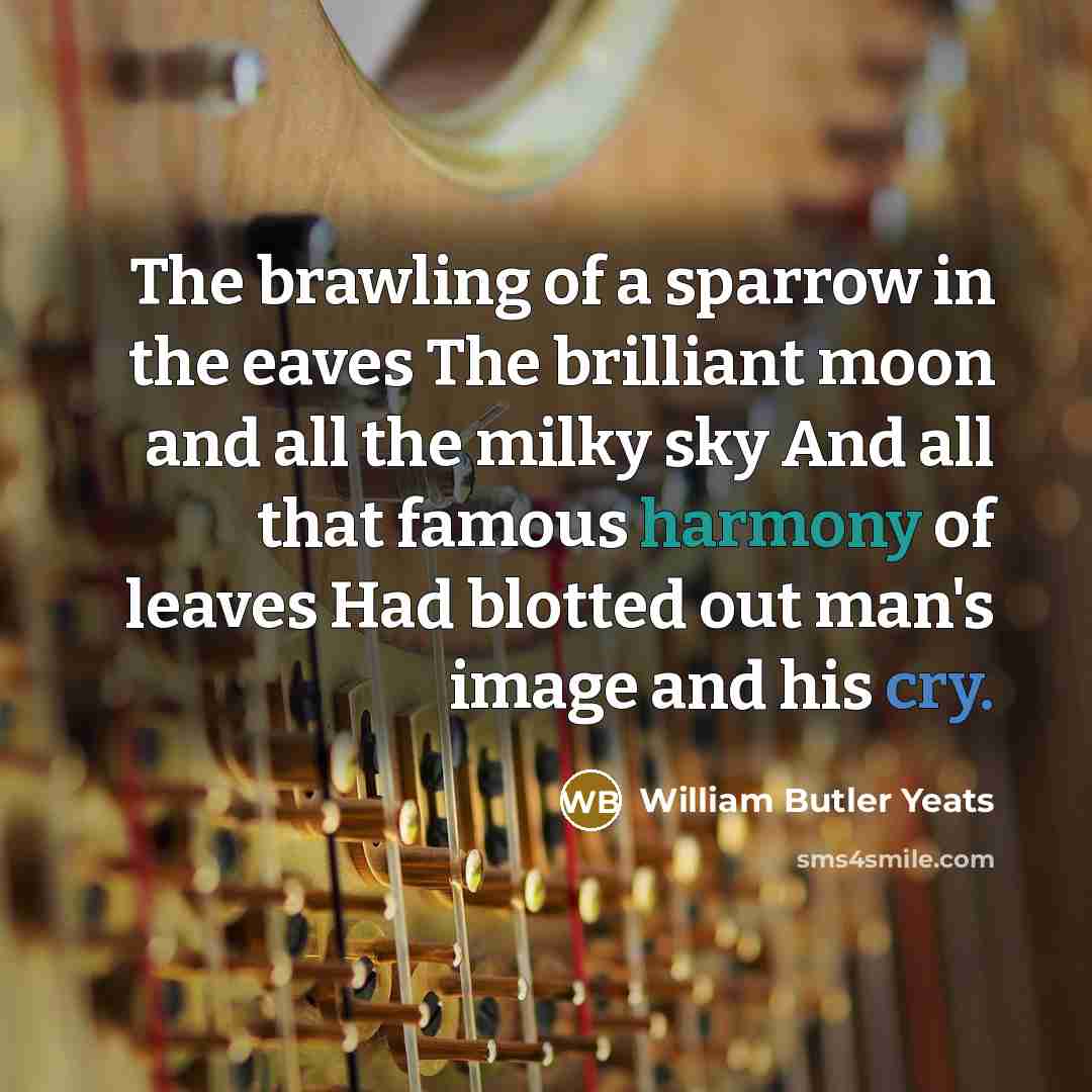 “The brawling of a sparrow in the eaves The brilliant…” quote by William Butler Yeats