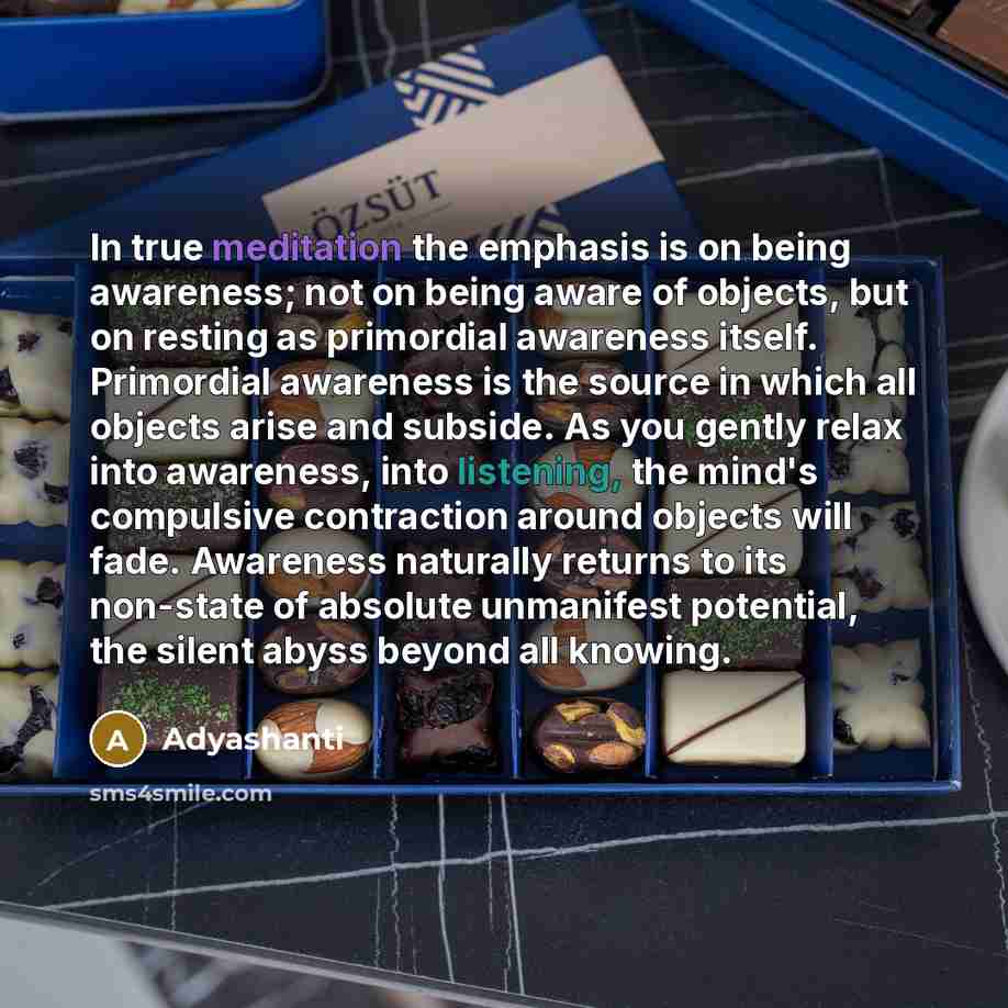 “In true meditation the emphasis is on being awareness; not…” quote by Adyashanti