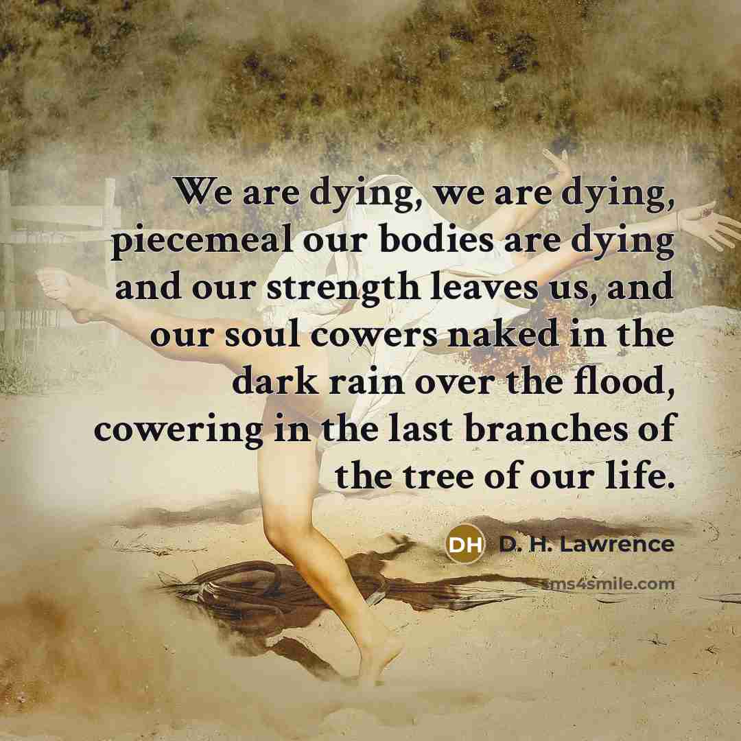 “We are dying, we are dying, piecemeal our bodies are…” quote by D. H. Lawrence