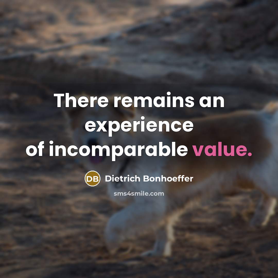 “There remains an experience of incomparable value.…” quote by Dietrich Bonhoeffer