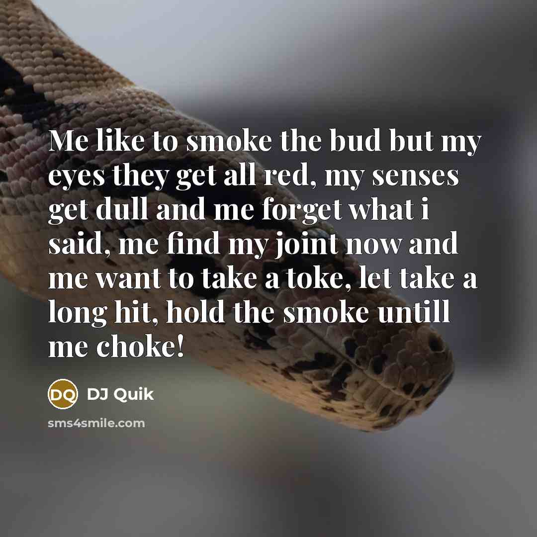 “Me like to smoke the bud but my eyes they…” quote by DJ Quik