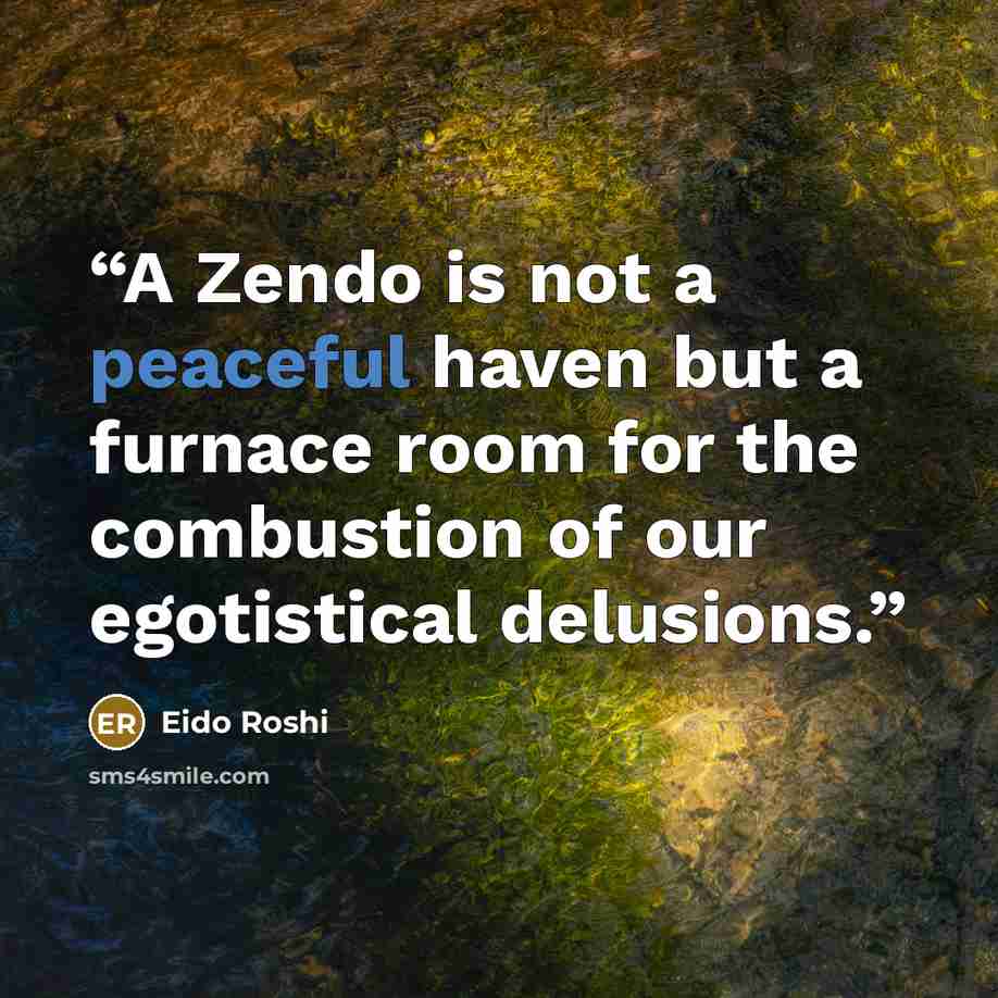 “A Zendo is not a peaceful haven but a furnace room for the combustion of our egotistical delusions.” quote by Eido Roshi