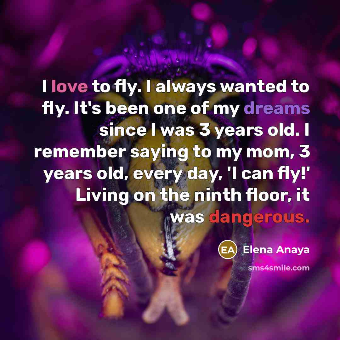 “I love to fly. I always wanted to fly. It's…” quote by Elena Anaya
