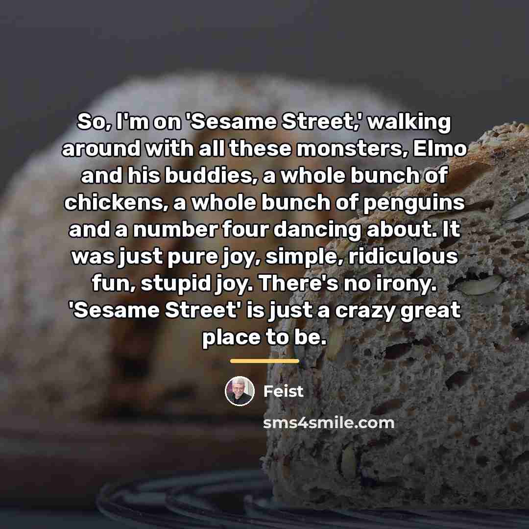 “So, I'm on 'Sesame Street,' walking around with all these…” quote by Feist