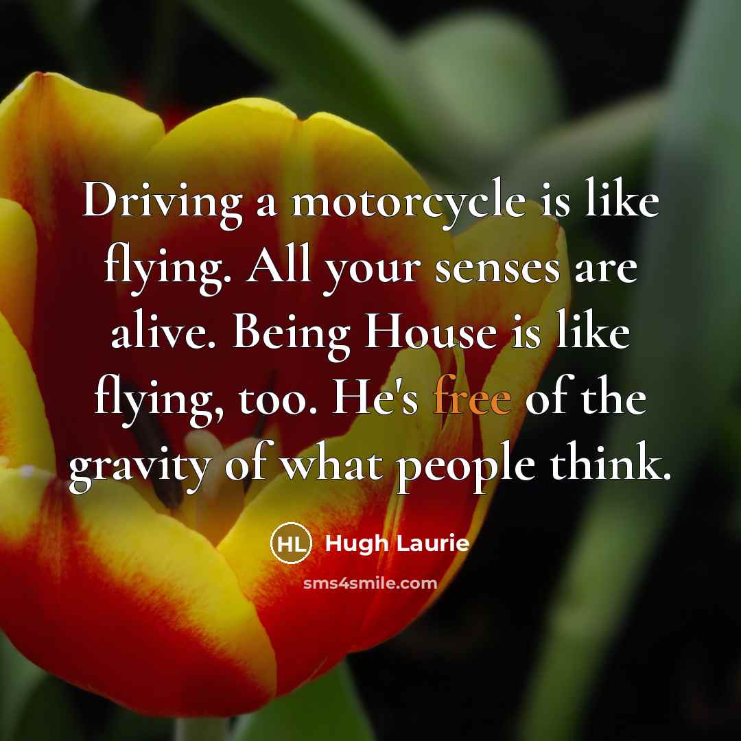 “Driving a motorcycle is like flying. All your senses are…” quote by Hugh Laurie