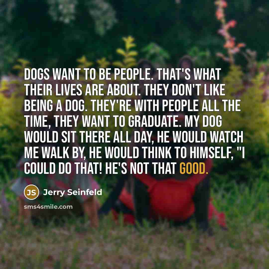 “Dogs want to be people. That's what their lives are…” quote by Jerry Seinfeld