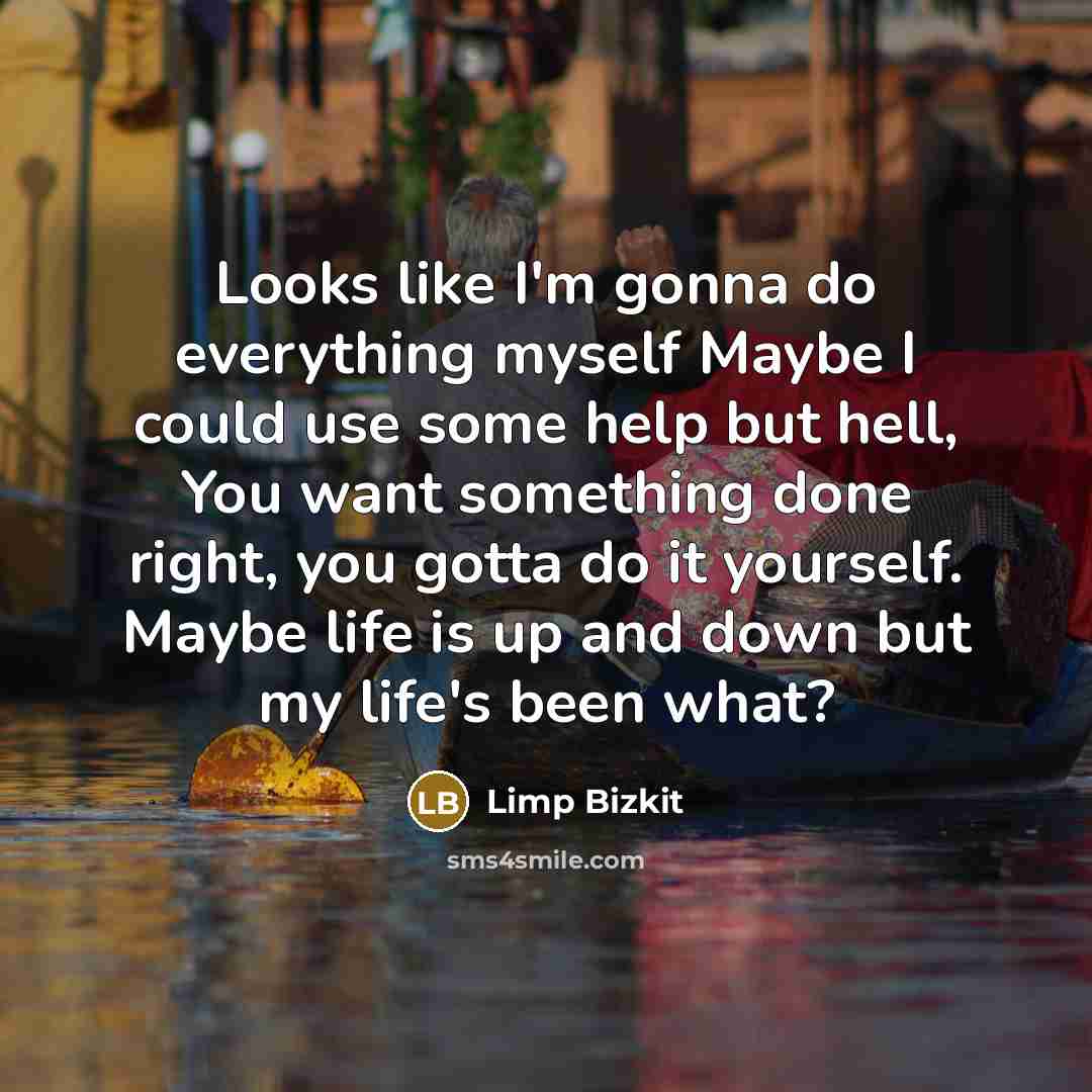 “Looks like I'm gonna do everything myself Maybe I could…” quote by Limp Bizkit