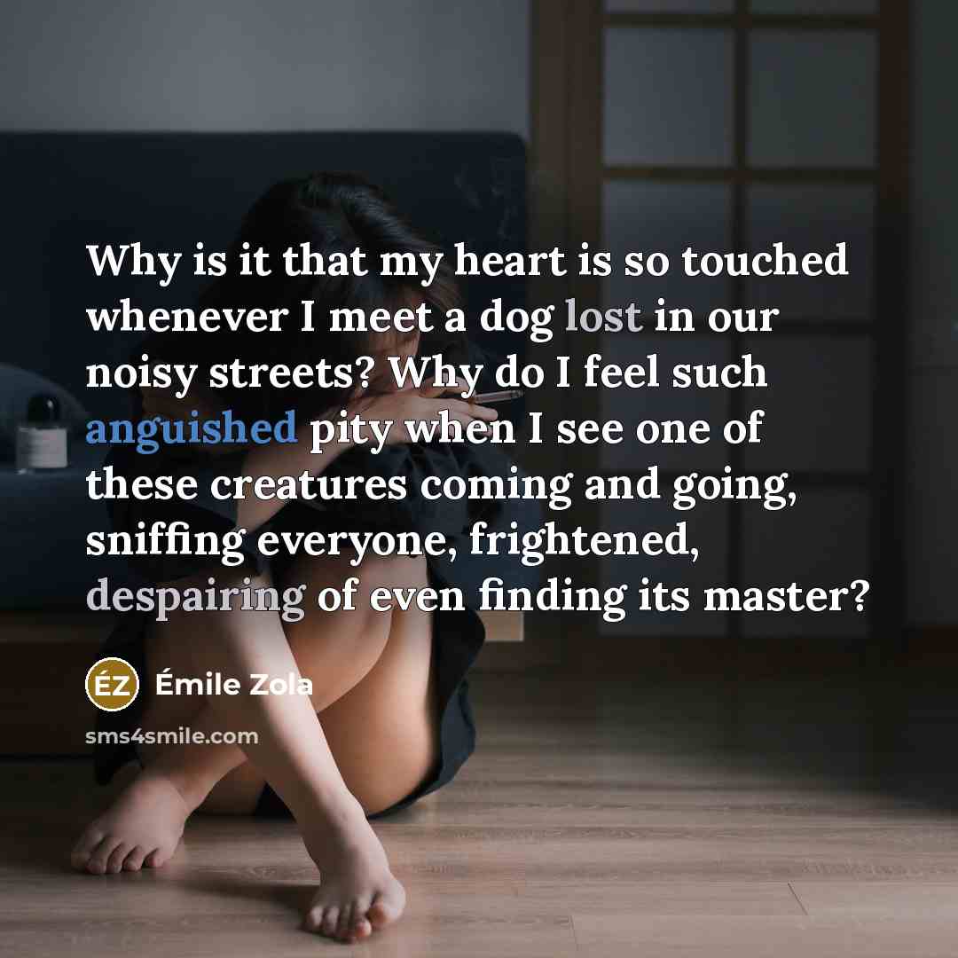 “Why is it that my heart is so touched whenever I meet a dog lost in our noisy streets? Why do I feel such anguished pity when I see one of these creatures coming and going, sniffing everyone, frightened, despairing of even finding its master?” quote by Emile Zola