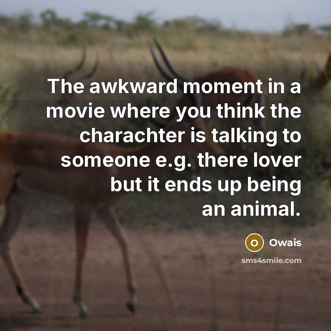 “The awkward moment in a movie where you think the charachter is talking to someone e.g. there lover but it ends up being an animal.” quote by Owais