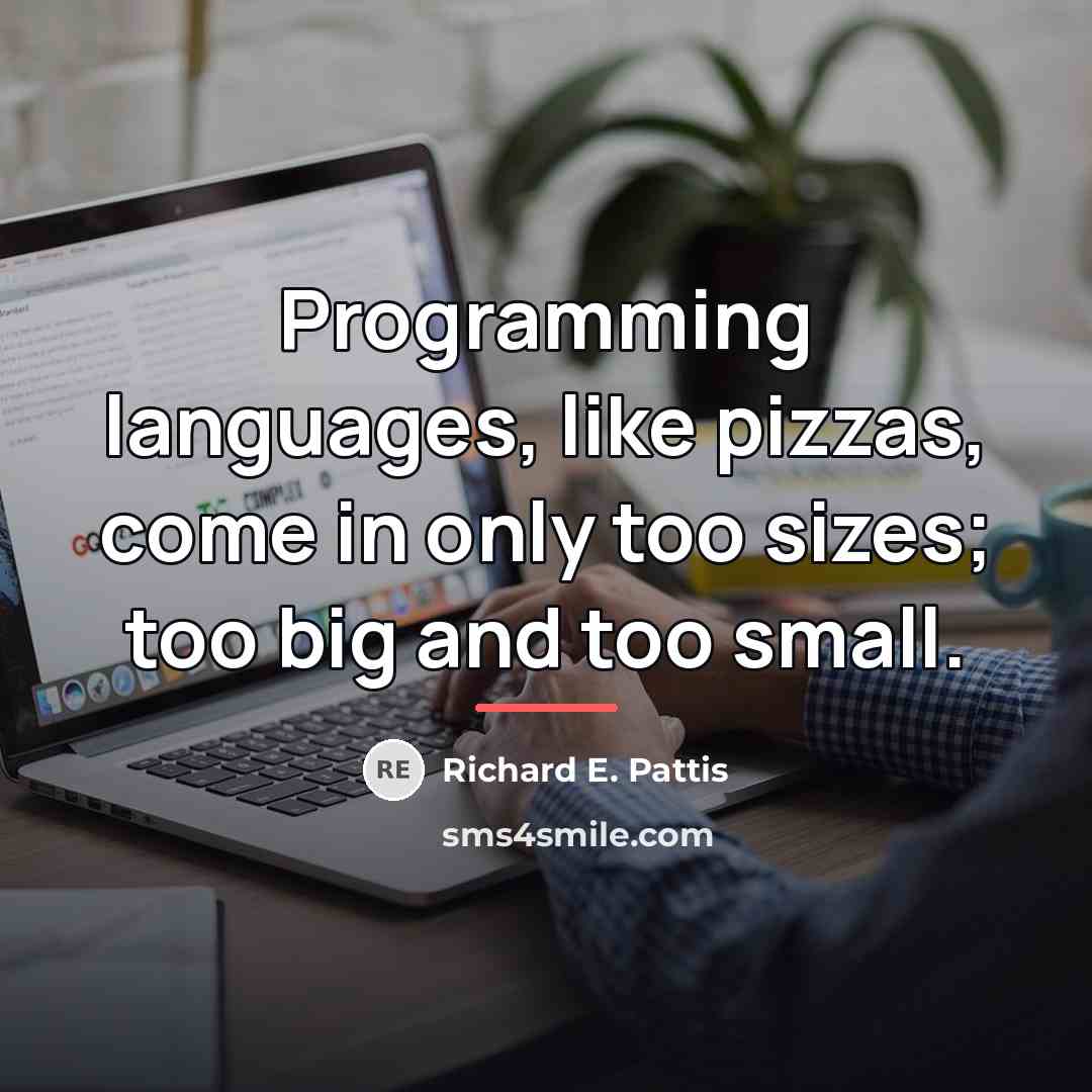 “Programming languages, like pizzas, come in only too sizes; too…” quote by Richard E. Pattis