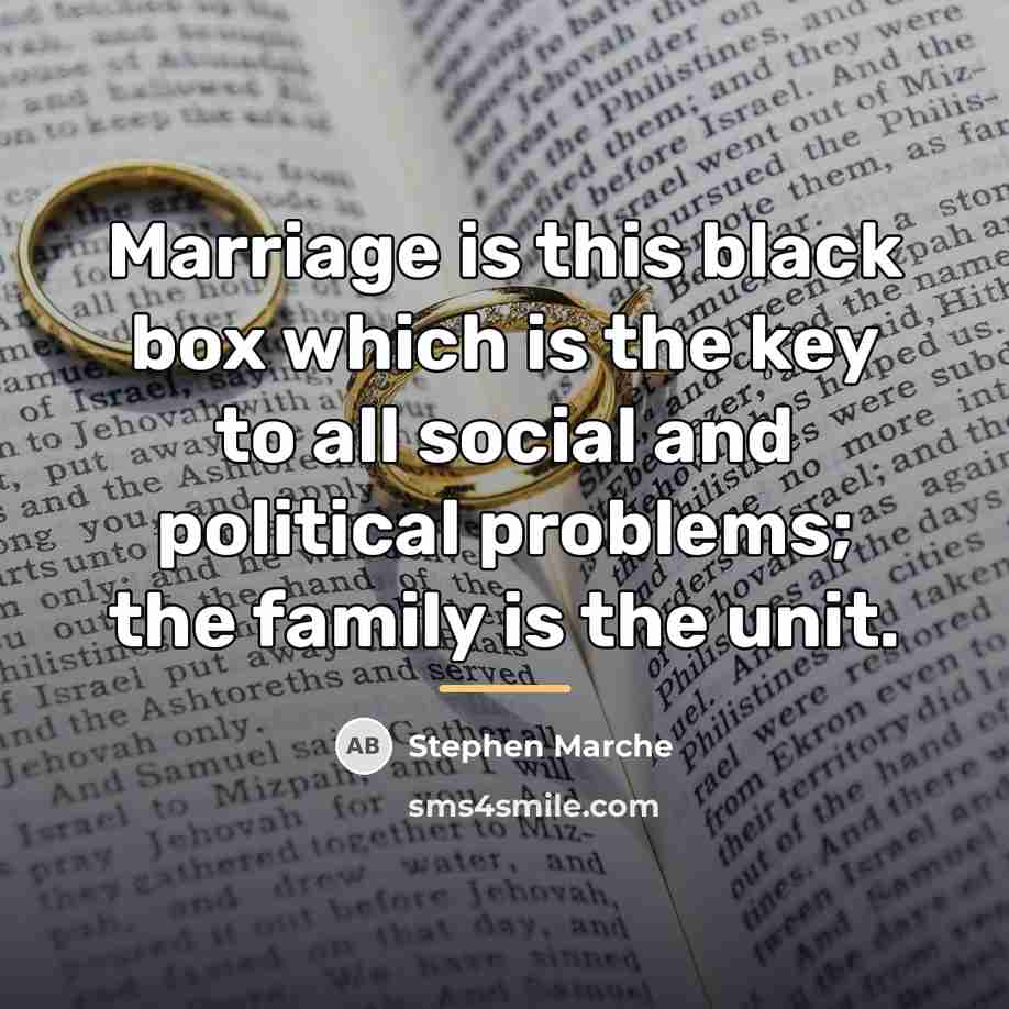 “Marriage is this black box which is the key to…” quote by Stephen Marche