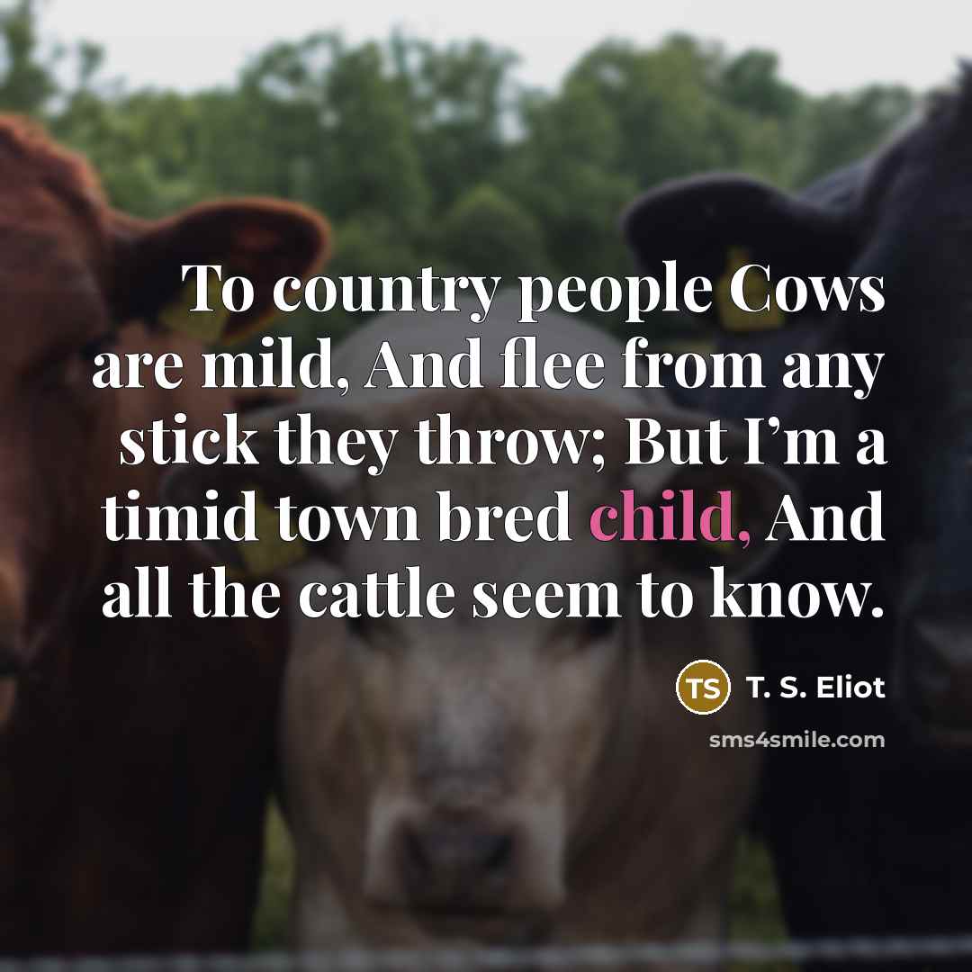 “To country people Cows are mild, And flee from any…” quote by T. S. Eliot
