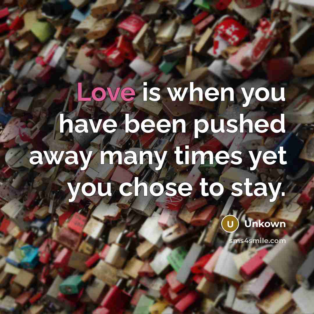 “Love is when you have been pushed away many times yet you chose to stay.” quote by Unkown