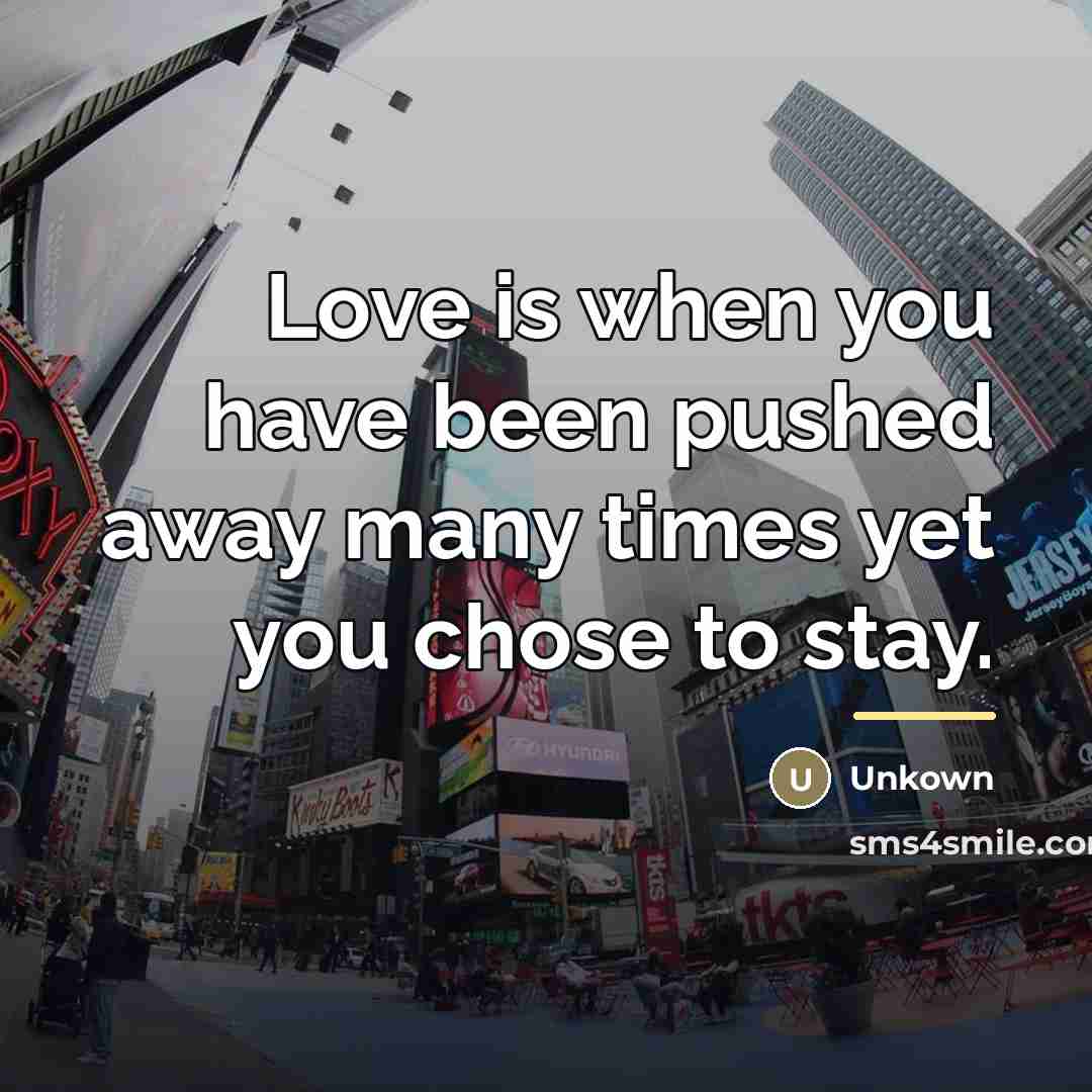 “Love is when you have been pushed away many times…” quote by Unkown