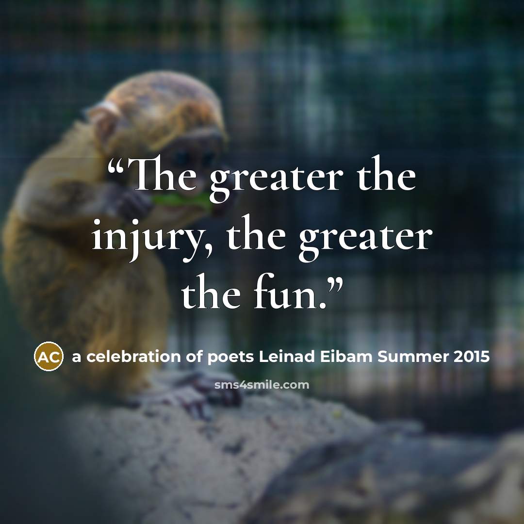 “The greater the injury, the greater the fun.” quote by a celebration of poets Leinad Eibam Summer 2015