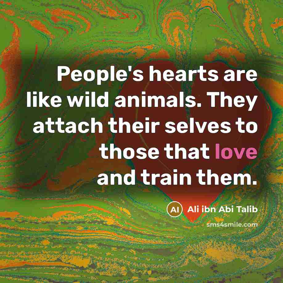 “People's hearts are like wild animals. They attach their selves…” quote by Ali ibn Abi Talib