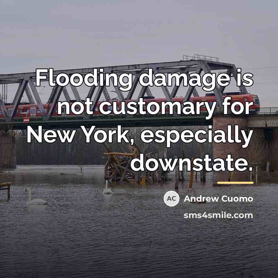 “Flooding damage is not customary for New York, especially downstate.…” quote by Andrew Cuomo