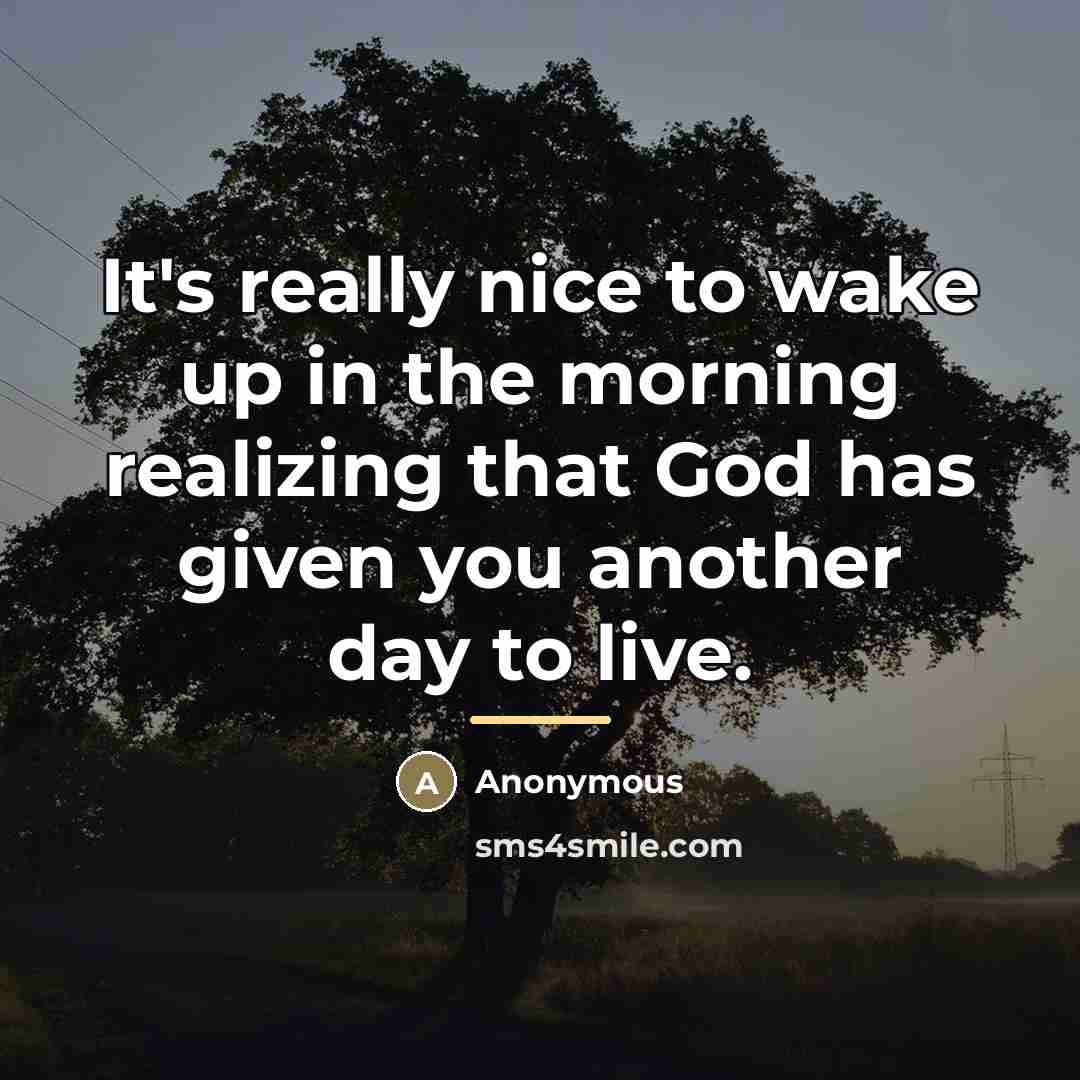 “It's really nice to wake up in the morning realizing…” quote by Anonymous