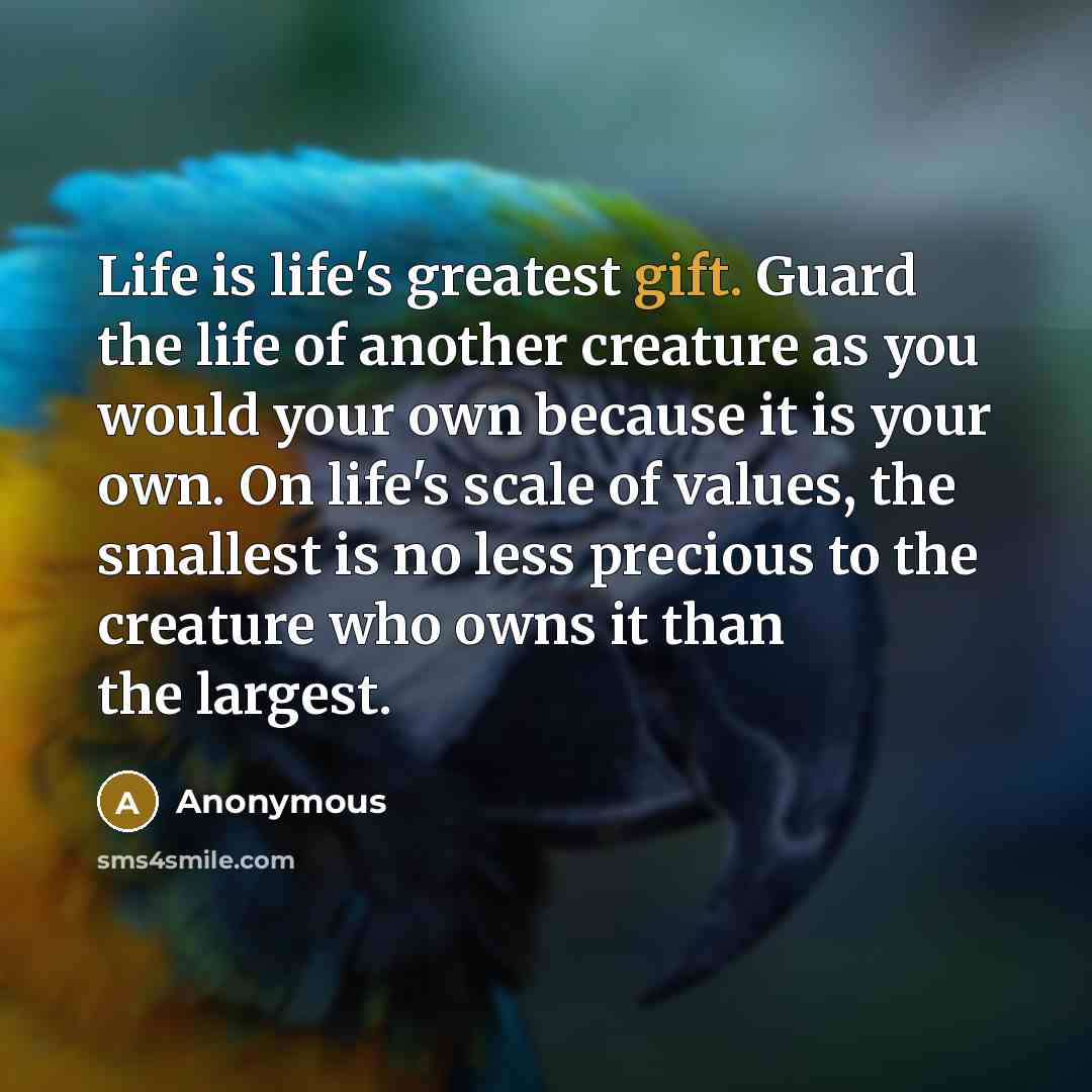 “Life is life's greatest gift. Guard the life of another creature as you would your own because it is your own. On life's scale of values, the smallest is no less precious to the creature who owns it than the largest.” quote by Anonymous