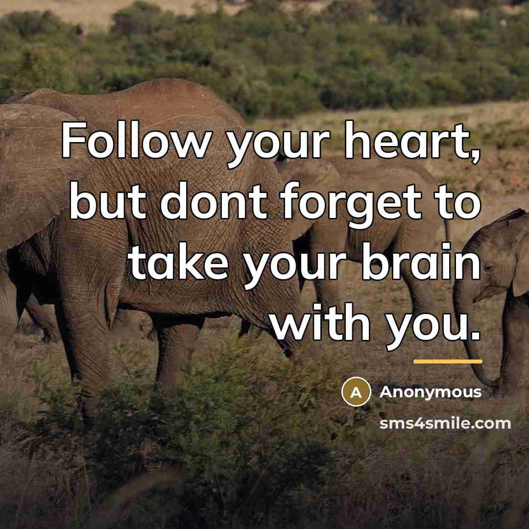 “Follow your heart, but dont forget to take your brain…” quote by Anonymous