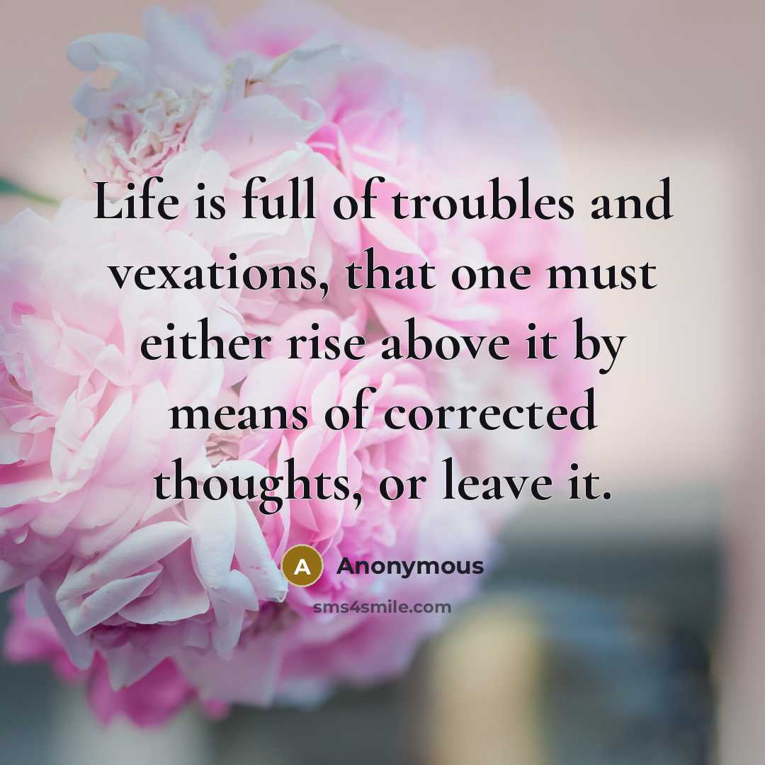 “Life is full of troubles and vexations, that one must…” quote by Anonymous
