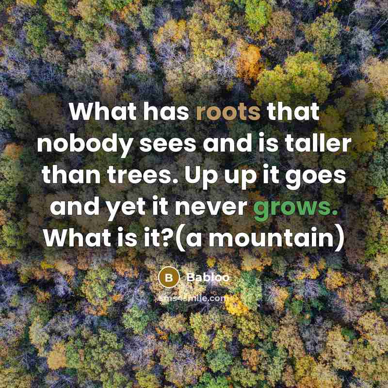 “What has roots that nobody sees and is taller than trees. Up up it goes and yet it never grows. What is it?(a mountain)” quote by Babloo