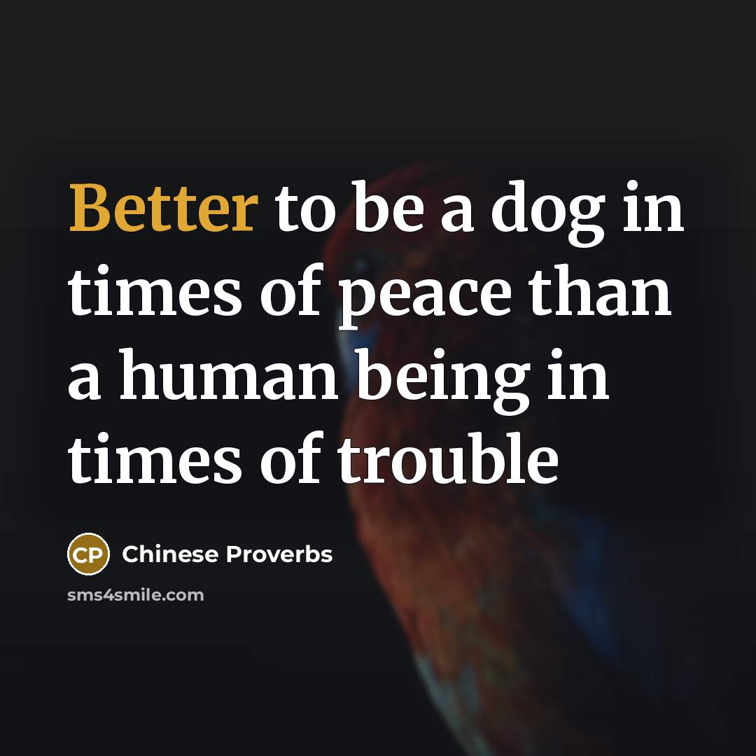 “Better to be a dog in times of peace than a human being in times of trouble” quote by Chinese Proverbs