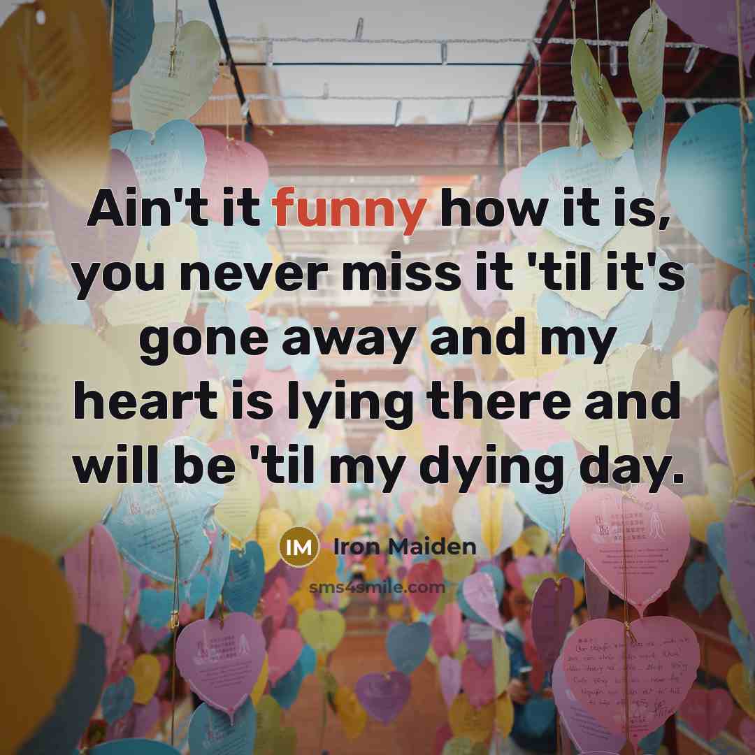 “Ain't it funny how it is, you never miss it…” quote by Iron Maiden