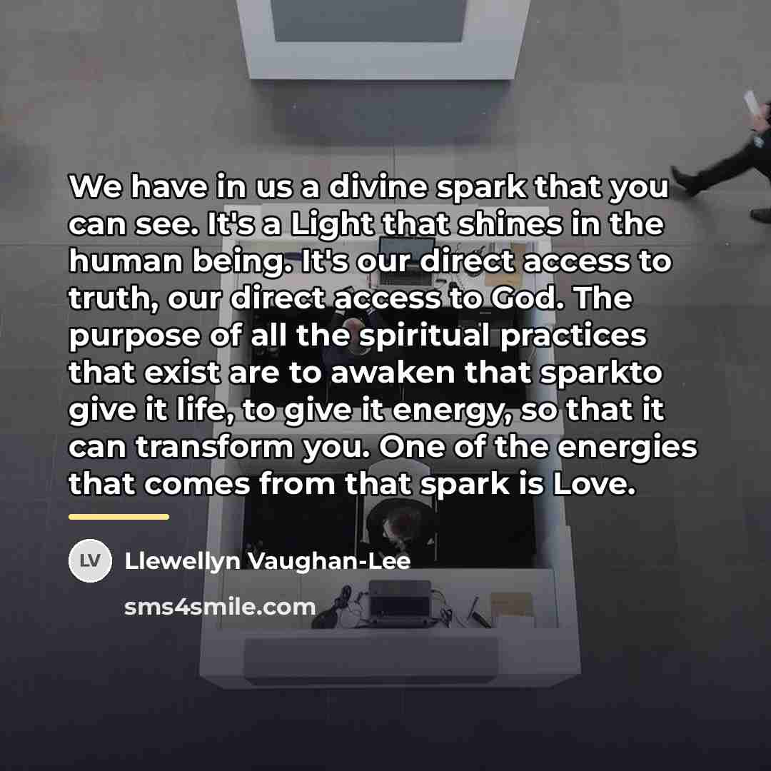 “We have in us a divine spark that you can…” quote by Llewellyn Vaughan-Lee