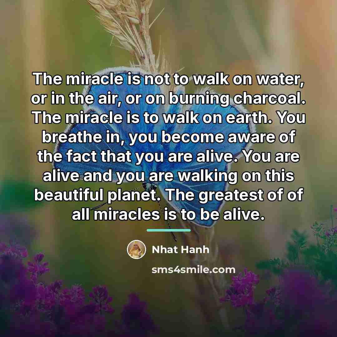 “The miracle is not to walk on water, or in…” quote by Nhat Hanh