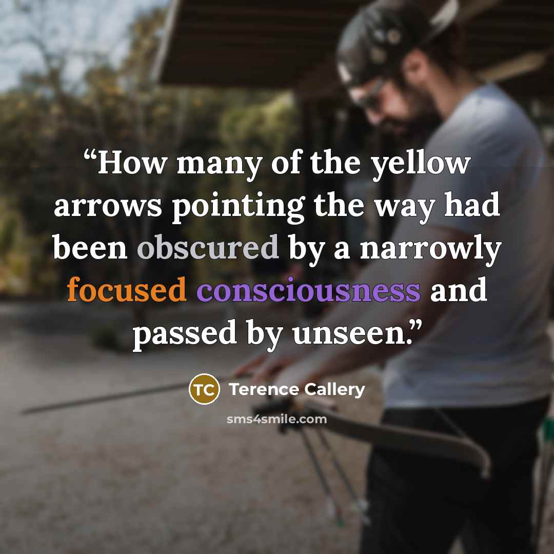 “How many of the yellow arrows pointing the way had been obscured by a narrowly focused consciousness and passed by unseen.” quote by Terence Callery