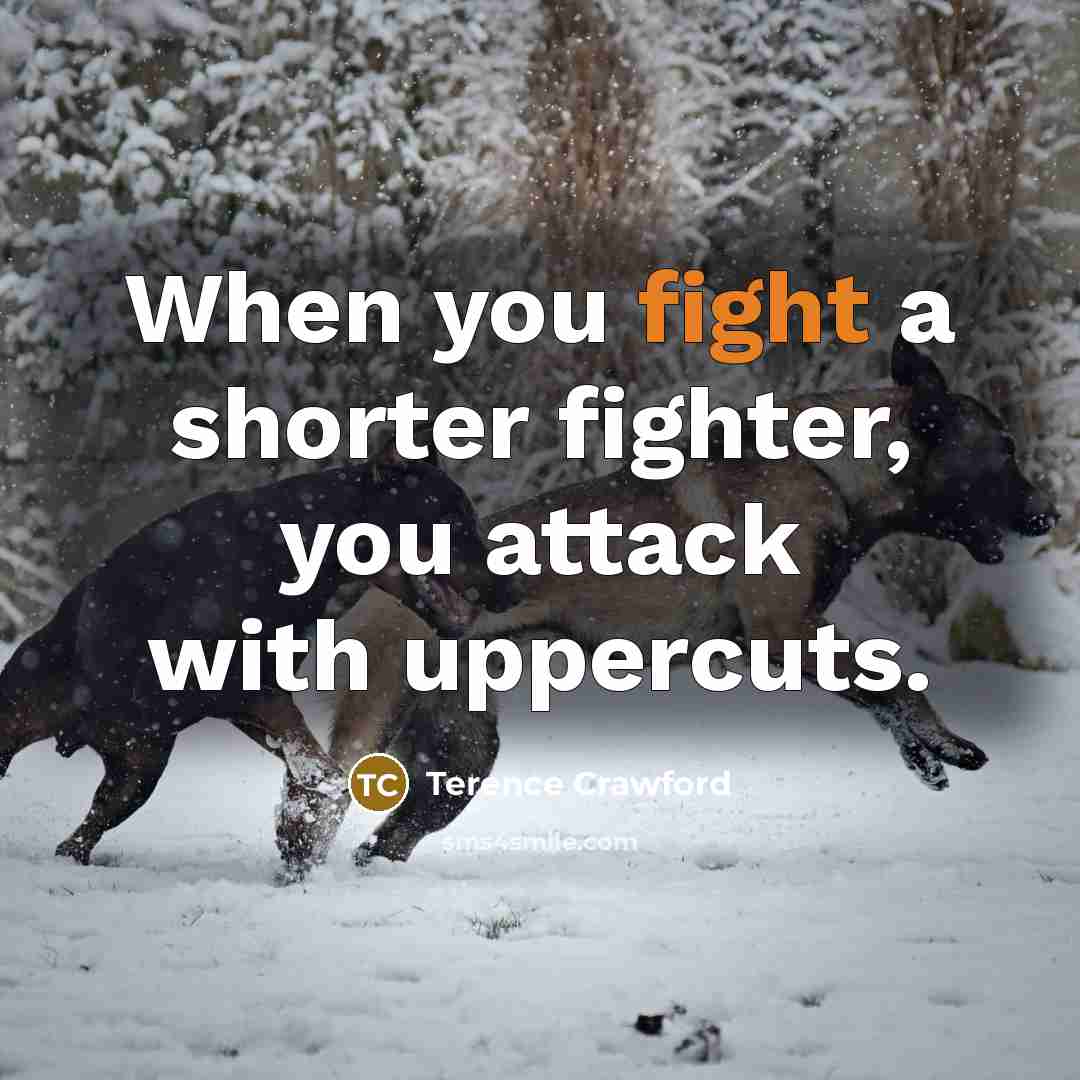 “When you fight a shorter fighter, you attack with uppercuts.…” quote by Terence Crawford