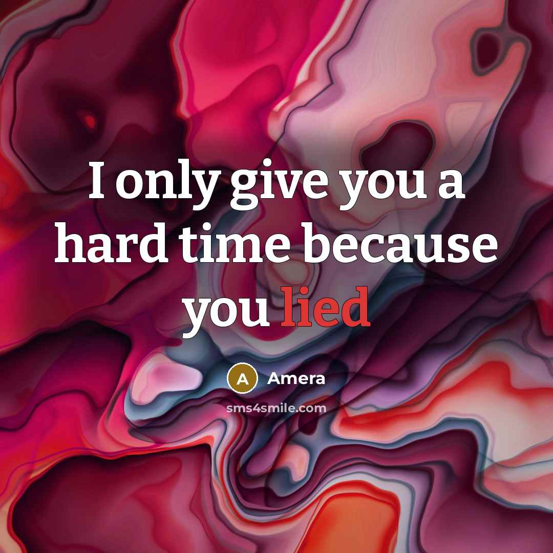 “I only give you a hard time because you lied…” quote by Amera