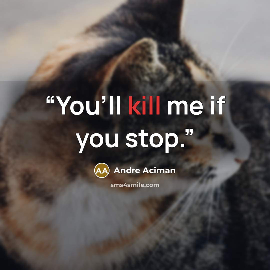 “You’ll kill me if you stop.” quote by André Aciman