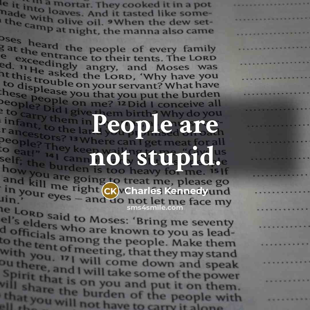 “People are not stupid.…” quote by Charles Kennedy
