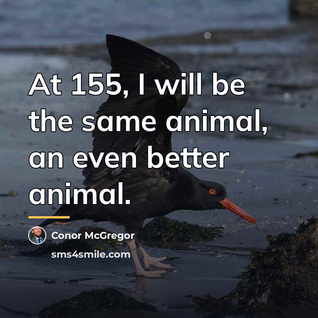“At 155, I will be the same animal, an even…” quote by Conor McGregor