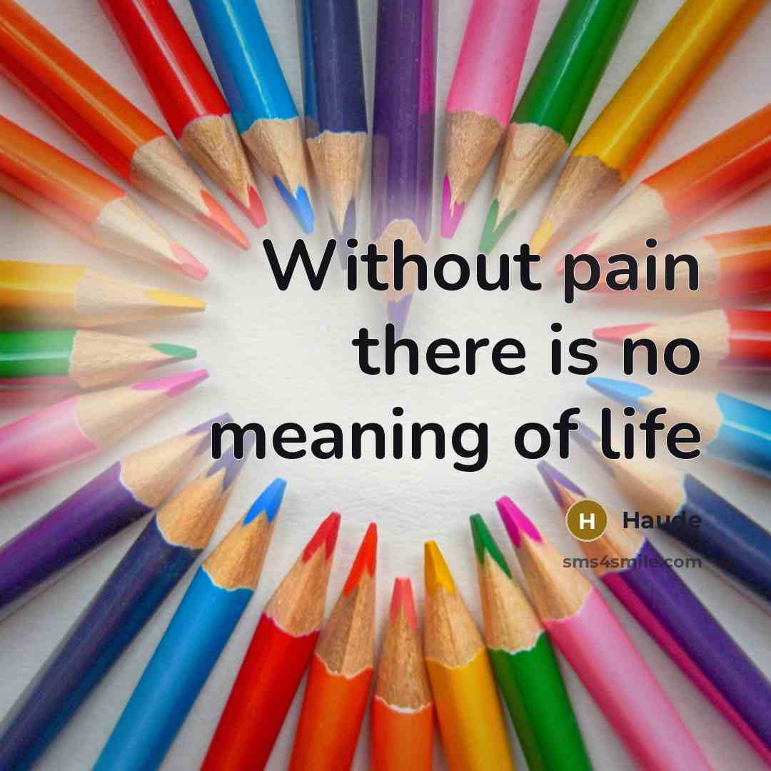 “Without pain there is no meaning of life” quote by Haude