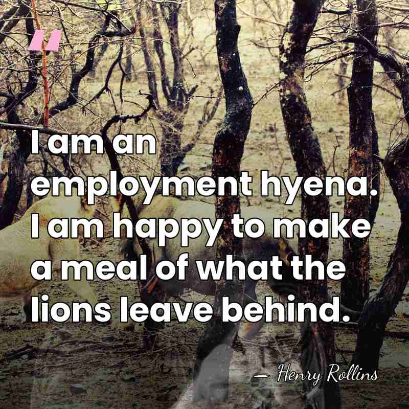 I am an employment hyena. I am happy to make a meal&hellip; - Henry Rollins
