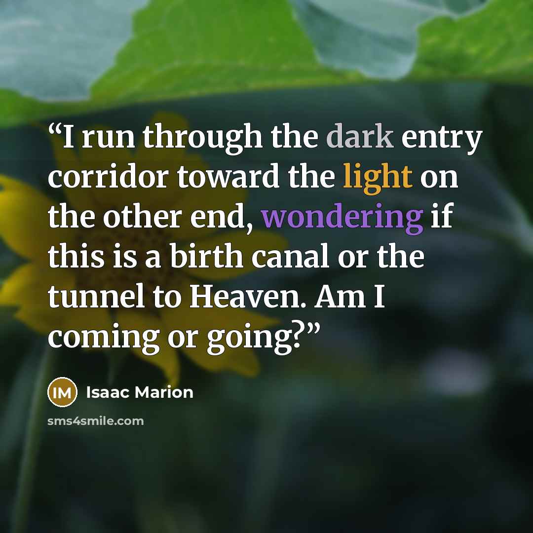 “I run through the dark entry corridor toward the light on the other end, wondering if this is a birth canal or the tunnel to Heaven. Am I coming or going?” quote by Isaac Marion