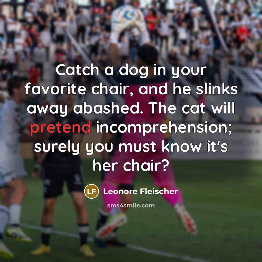 “Catch a dog in your favorite chair, and he slinks…” quote by Leonore Fleischer