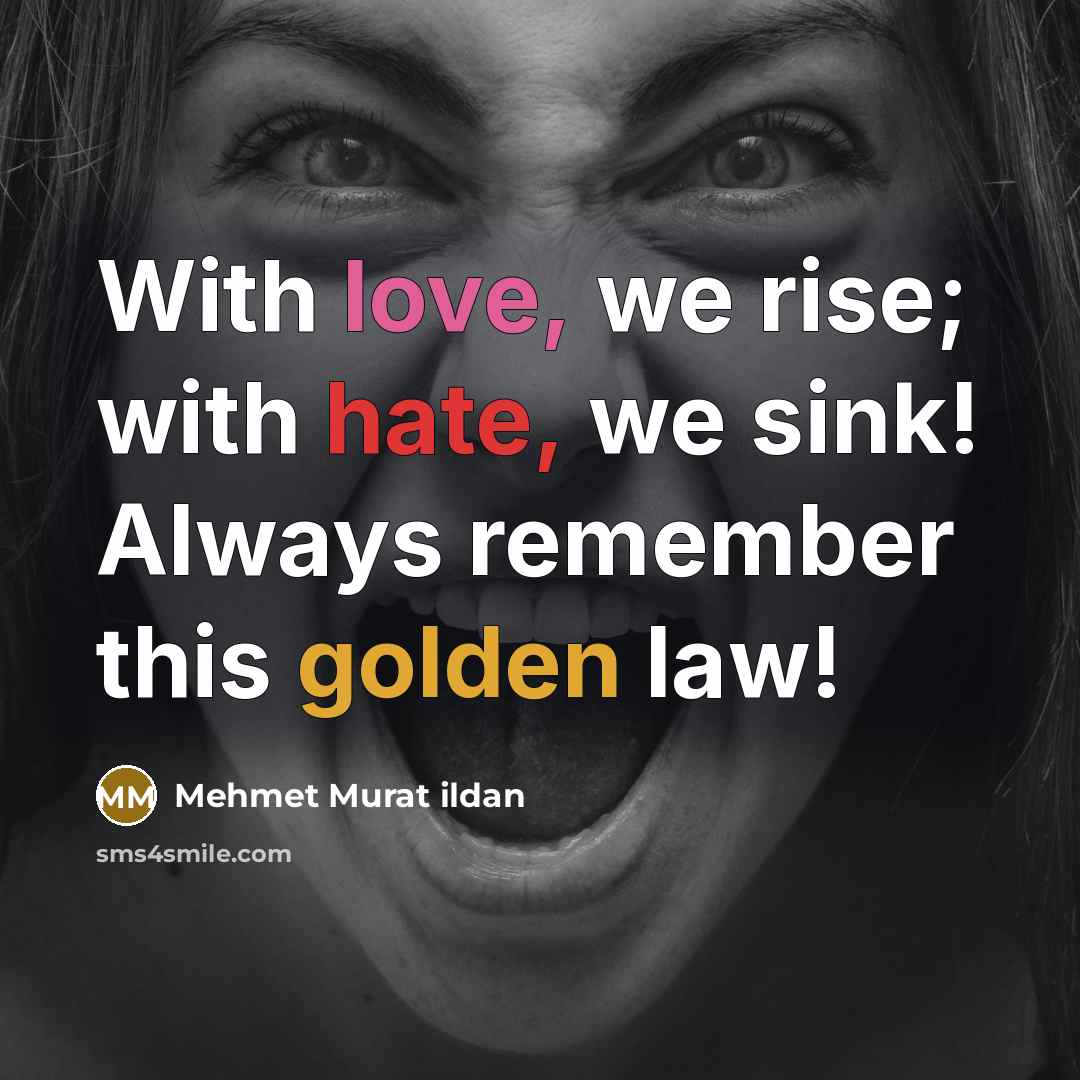 “With love, we rise; with hate, we sink! Always remember…” quote by Mehmet Murat Ildan