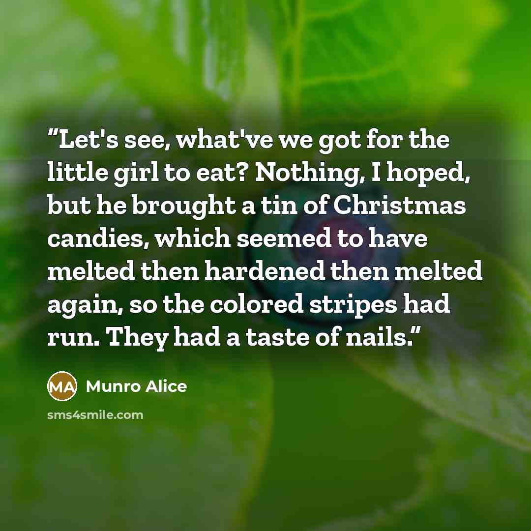 “Let's see, what've we got for the little girl to eat? Nothing, I hoped, but he brought a tin of Christmas candies, which seemed to have melted then hardened then melted again, so the colored stripes had run. They had a taste of nails.” quote by Munro Alice