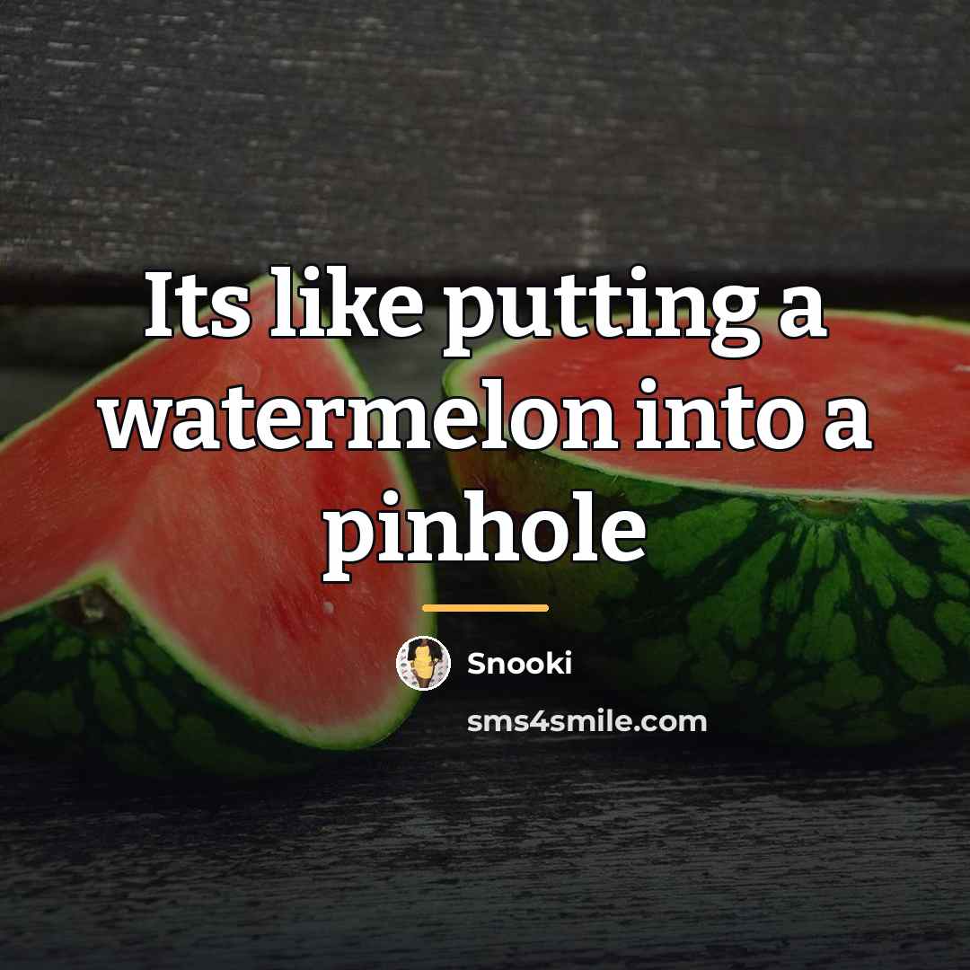 “Its like putting a watermelon into a pinhole…” quote by Snooki