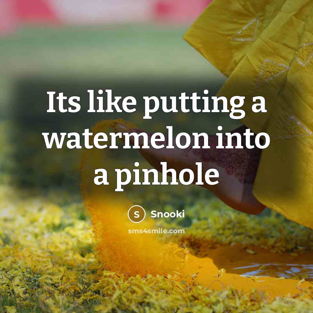 “Its like putting a watermelon into a pinhole” quote by Snooki