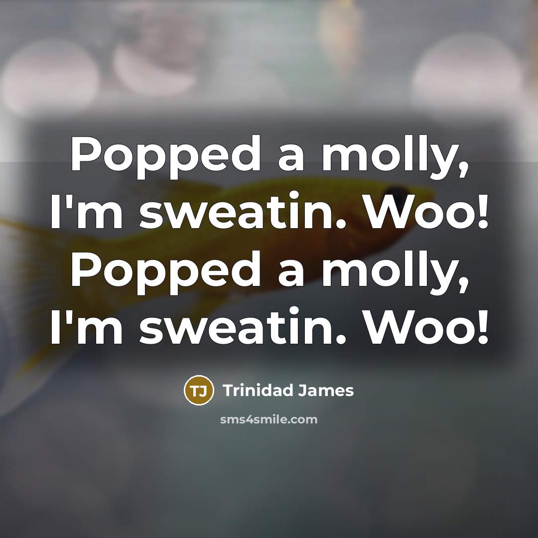 “Popped a molly, I'm sweatin. Woo! Popped a molly, I'm sweatin. Woo!” quote by Trinidad James