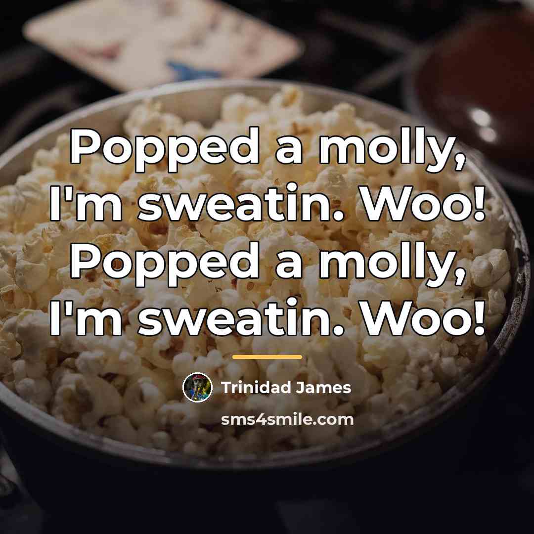 “Popped a molly, I'm sweatin. Woo! Popped a molly, I'm…” quote by Trinidad James